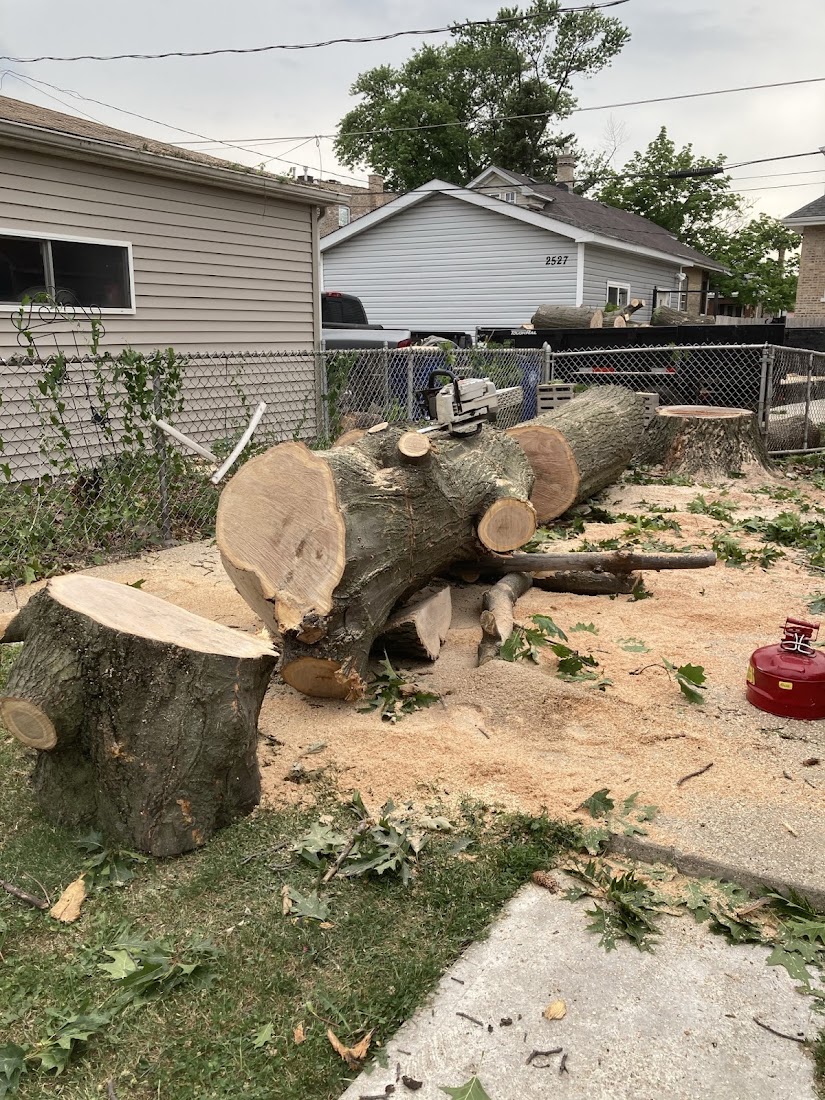 Tree Service project
